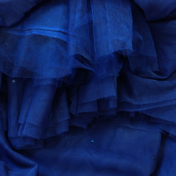 🍒NWT🍒 TED BAKER EMBELLISHED TULLE SKIRT - Picture 6 of 6